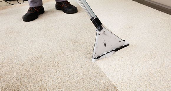 a person using a carpet cleaning machine to clean a oatmeal carpet, with a clear difference in colour