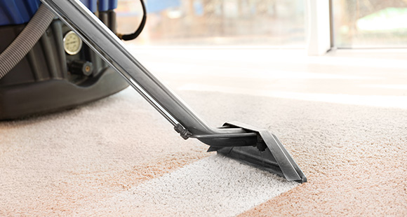 a person using a steam carpet cleaner to clean a carpet with noticeable difference