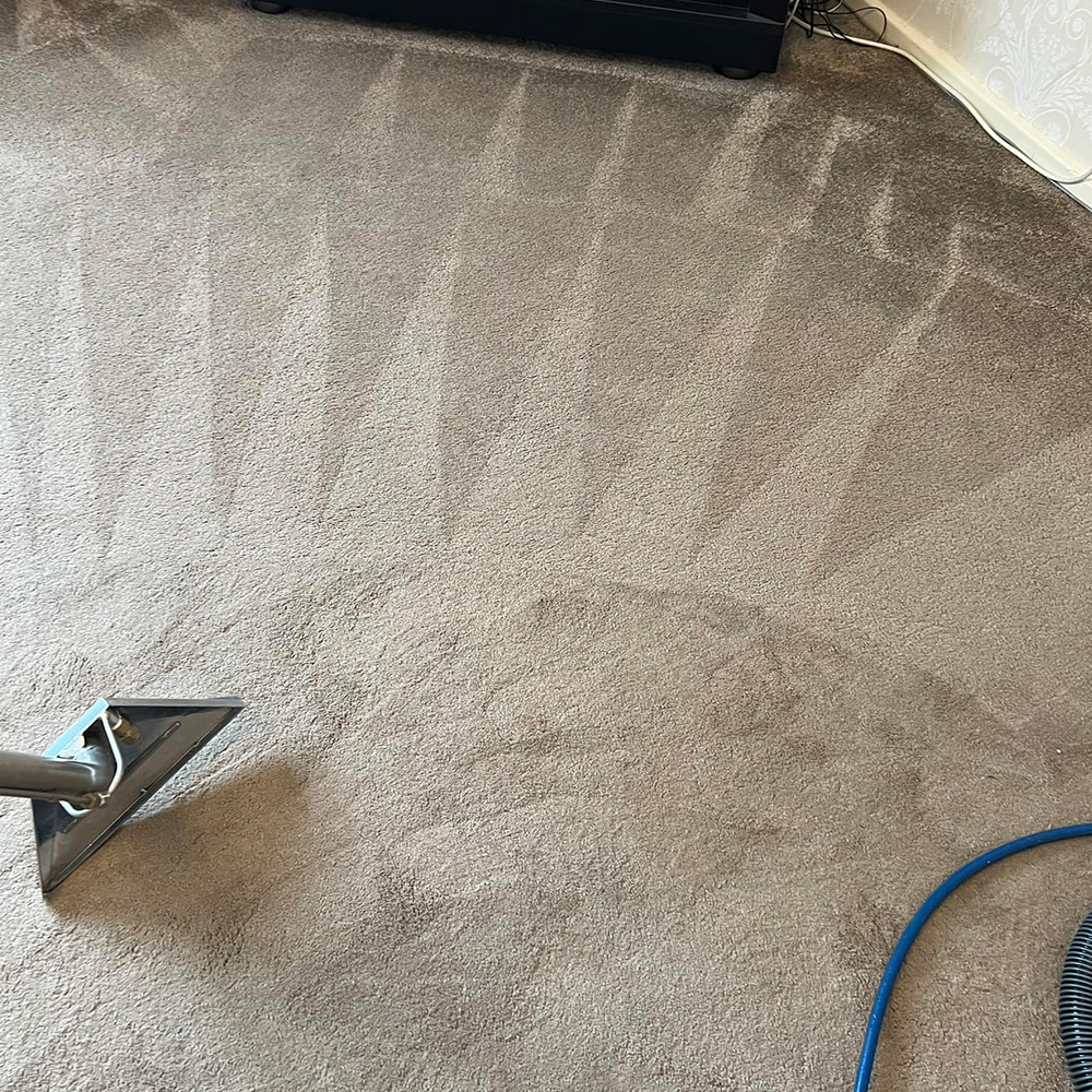 Carpet Cleaning in Bishops Stortford | Avance Cleaning gallery image 2