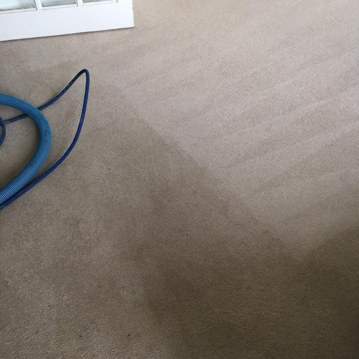 Carpet Cleaning in Bishops Stortford | Avance Cleaning gallery image 4