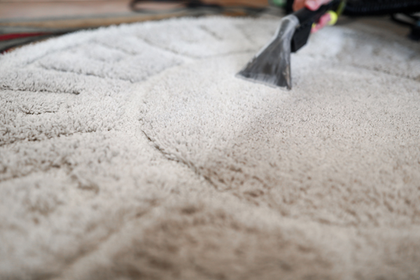 A rug being deep cleaned with hot water extraction