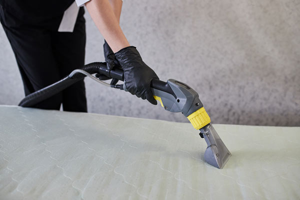 A man cleaning a mattress
